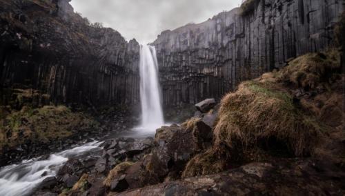 DSC_5789(2) - Grande